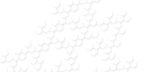 Abstract geometric background white surface with hexagonal, concrete tiles creating a textured pattern, design for technology and medical science, technology vector abstract background with hexagon.