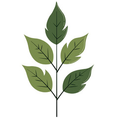 Layered green leaves in light and dark tones, great for artistic, abstract, or spring-themed visual compositions.