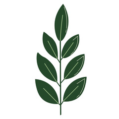 Single dark green leaf with smooth edge, suitable for modern, elegant, or eco-themed interior and layout visuals.