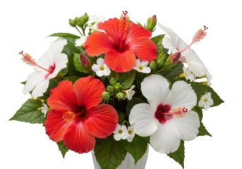 Vibrant red and white hibiscus flowers arranged in a tropical bouquet isolated on transparent background