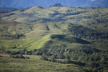A sweeping view of rolling hills covered in varying shades of green grass, shrubs, and trees under a blue sky. © joeyx.j
