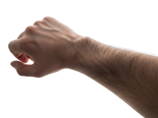 Male hairy hand in partial fist, showing strength and anatomy