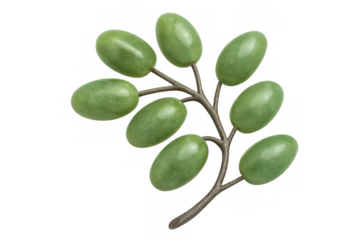 Fresh green olive branch with leaves on transparent background, showcasing mediterranean food ingredient and healthy diet