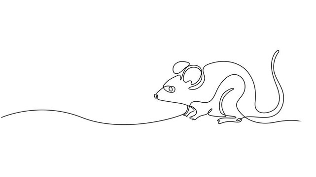 Self drawing animation one continuous line draw, logo, rat, mouse, One line drawing animation of or rat animal, Abstract rat, continuous one line art hand drawing, minimalism animation simplicity one.
