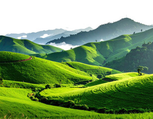 Rolling green hillsides bathed in light against distant mountains