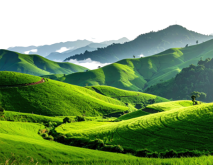 Rolling green hillsides bathed in light against distant mountains