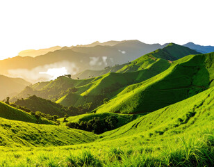 Green, rolling hills bask in warm, soft sunlight