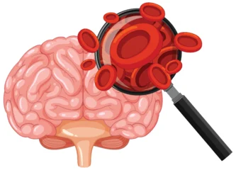 Fototapete Rund Kinder Human Brain and Blood Cells Under Magnifying Glass  © GraphicsRF
