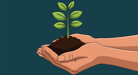 Hands holding plant seedling growth concept nature care environment