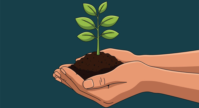 Hands holding plant seedling growth concept nature care environment