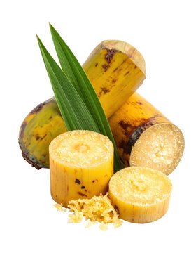 Close-up view of freshly extracted guarapo juice, highlighting its opaque texture and natural sugarcane pulp, isolated on white background