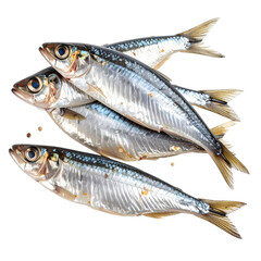 Homemade fried sprats, a simple seafood dish, presented without a plate for a minimalist composition, isolated on white background