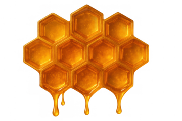 Honeycomb dripping pure golden syrup, sweet natural liquid food, sticky texture from a beehive, transparent background
