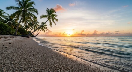 Serene dawn at the tropical coastline with palms reflecting sunlight onto the waters