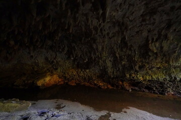 ガンガラーの谷・原生林景観