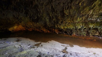 ガンガラーの谷・原生林景観