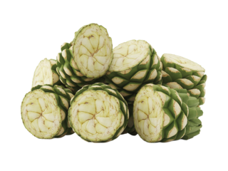 piña agave isolated image