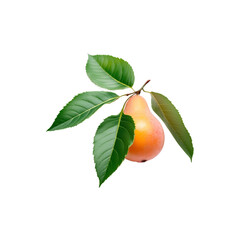 pear with leaf isolated on white background