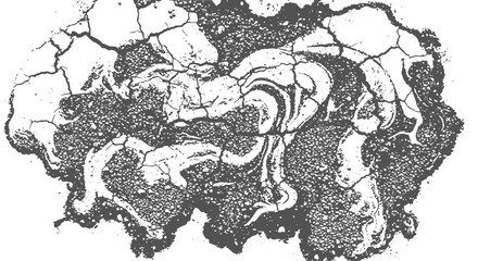 Grungy abstract texture vector with cracked dry surface pattern and porous grainy fill isolated on white