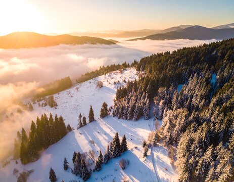 Aerial view of a sunlit winter landscape with mountains and trees - Powered by Adobe