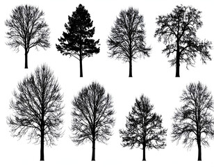 Set of various bare tree silhouettes for winter forest or woodland illustration on white background