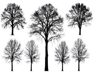 Versatile collection of high-contrast bare tree silhouettes, ideal for crafting evocative winter forest scenes and various seasonal illustration themes on a clean white background