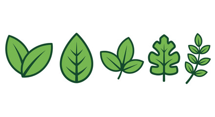 Fresh green leaves assortment for botanical designs and eco concepts