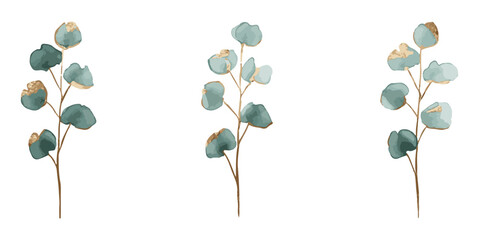 Eucalyptus Watercolor Branch Clipart Design