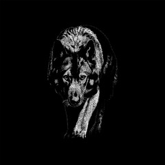 an American Alsatian in a stealthy, stalking pose. The artwork highlights the dog’s muscular build, thick fur, and focused expression with realistic linework, perfect for animal illustrations.