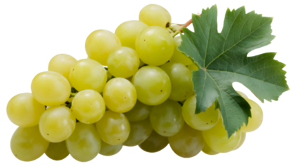 Fresh green grapes with leaf on black background