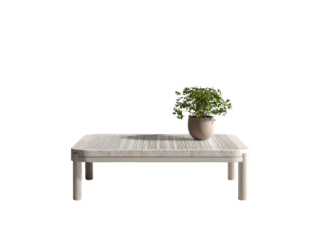 Potted plant atop marble coffee table, isolated