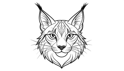 Line art illustration of a wild cat's frontal face, showcasing detailed fur patterns and expressive features