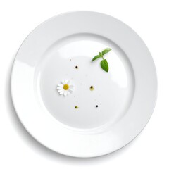 Minimalist composition white plate with daisy, herbs, and peppercorns