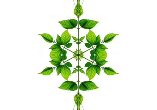 Symmetrical green plant pattern isolated on black background isolated on white background isolated on transparent background - Powered by Adobe