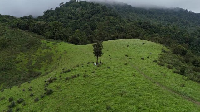 Beautiful rolling hills of native grasses and trees during a drought with clouds in the sky