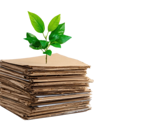 Eco-friendly materials promoting sustainability.