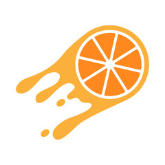 Citrus fruit icon design