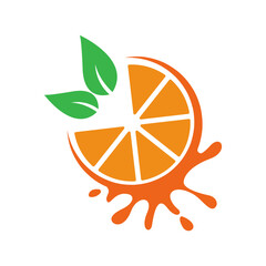 Citrus fruit icon design