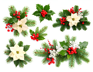 Christmas decorations featuring poinsettias, holly, pine needles, and berries arranged beautifully on a white background