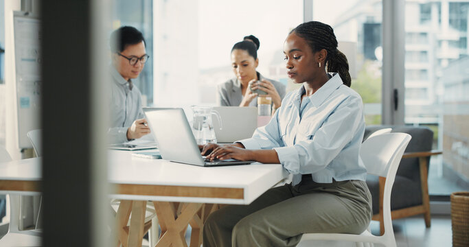 Financial advisor, laptop or woman with network, typing or research for stock market. People, website info or investor with pc, revenue analysis or email for trading portfolio, connection or internet - Powered by Adobe