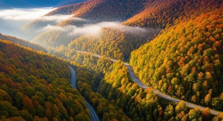 Picturesque aerial view of a winding road through an autumnal forest landscape in a mountainous
