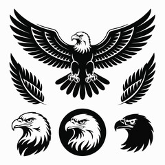 Obraz premium Spreading‑Wings Eagle Illustration Set — Matching Vector Assets