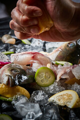 Arrange the glistening, white slices of fresh fish on a black round porcelain plate.