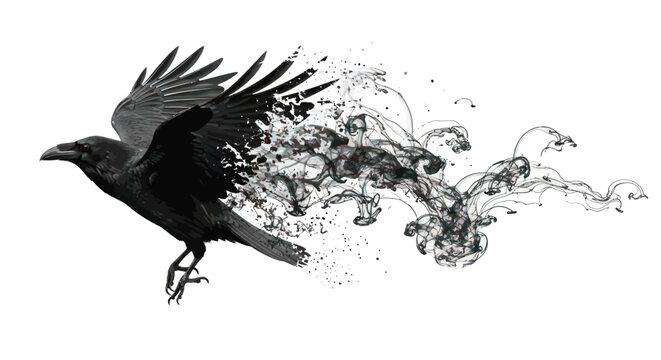 Adobe Illustrator Artwork