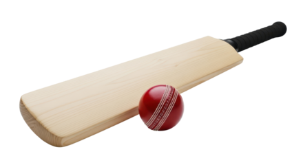 Simple black bird silhouette sitting in wild grass for nature logo or graphic design isolated PNG with Transparent Background