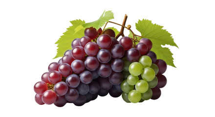 Ripe red and green grape cluster on the vine, fresh healthy fruit for food and drink marketing. isolated PNG with Transparent Background