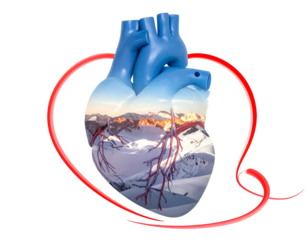 A vibrant blue anatomical heart, containing a snowy mountain scene within its chambers, is encircled by a red heart outline
