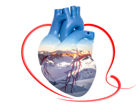 A vibrant blue anatomical heart, containing a snowy mountain scene within its chambers, is encircled by a red heart outline