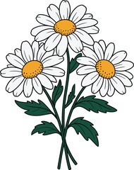 Fototapeta premium Three White Daisy Flowers with Green Leaves on White Background floral nature