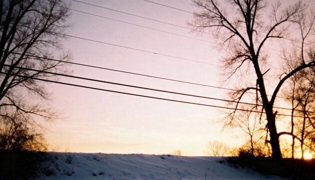 Sunset Silhouette: Serene capture of a tranquil winter landscape featuring bare trees set against a gradient of hues from twilight sky.